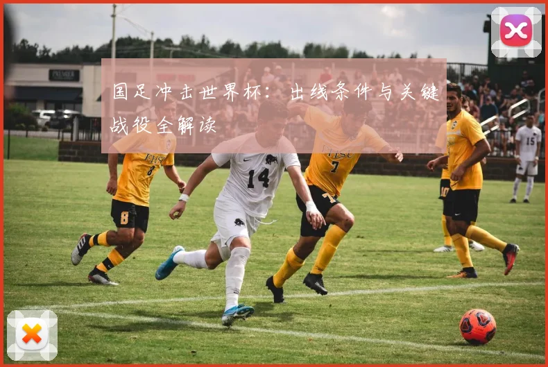 国足冲击世界杯:出线条件与关键战役全解读