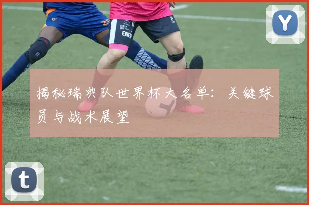 揭秘瑞典队世界杯大名单：关键球员与战术展望